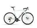 Caledonia 105 Di2